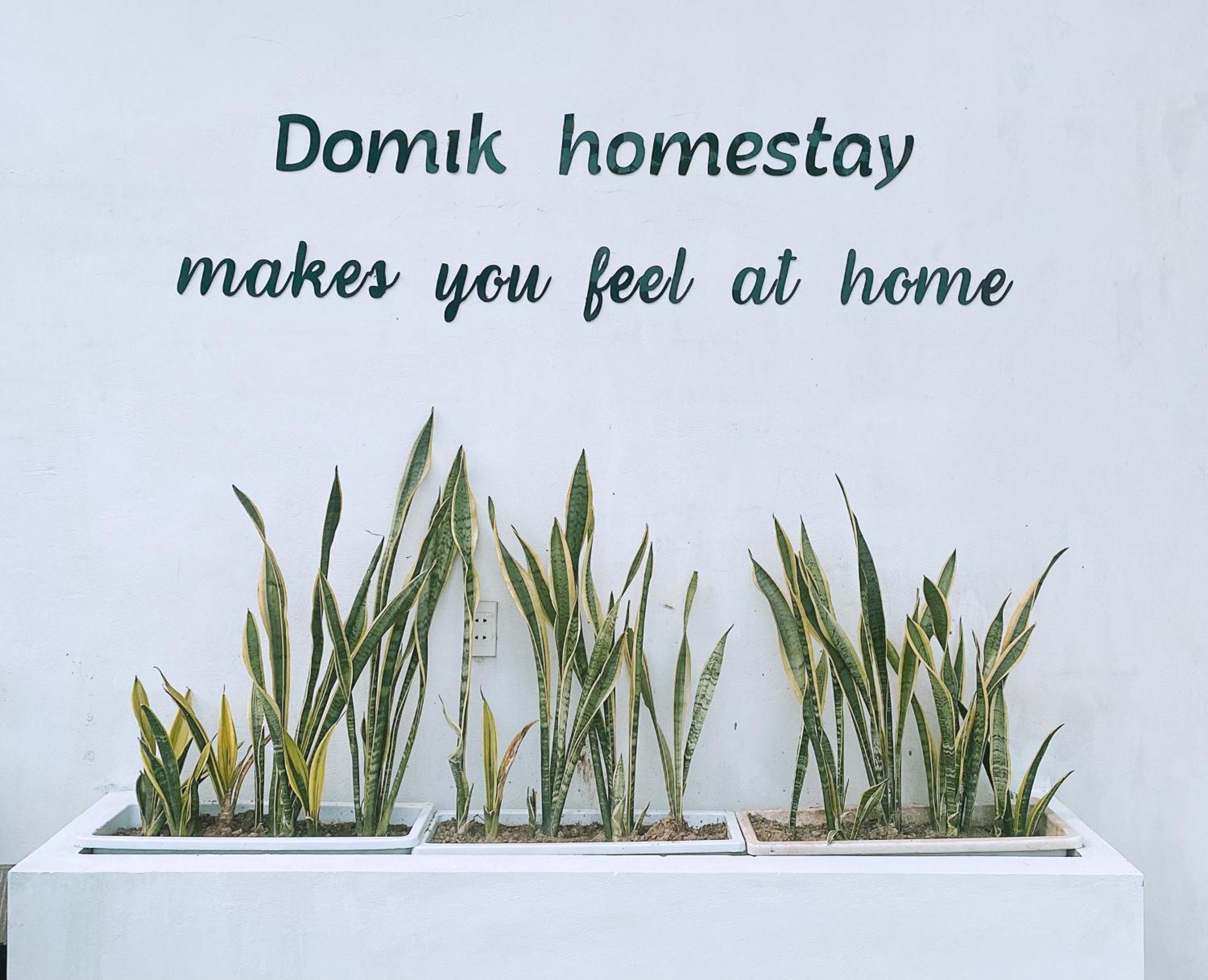 Domik Homestay - Cat Ba Dong Khe Sau エクステリア 写真