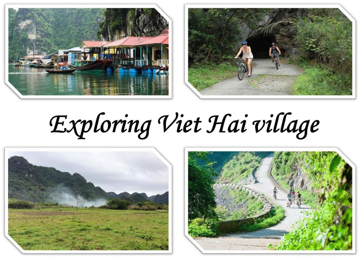 Domik Homestay - Cat Ba Dong Khe Sau エクステリア 写真