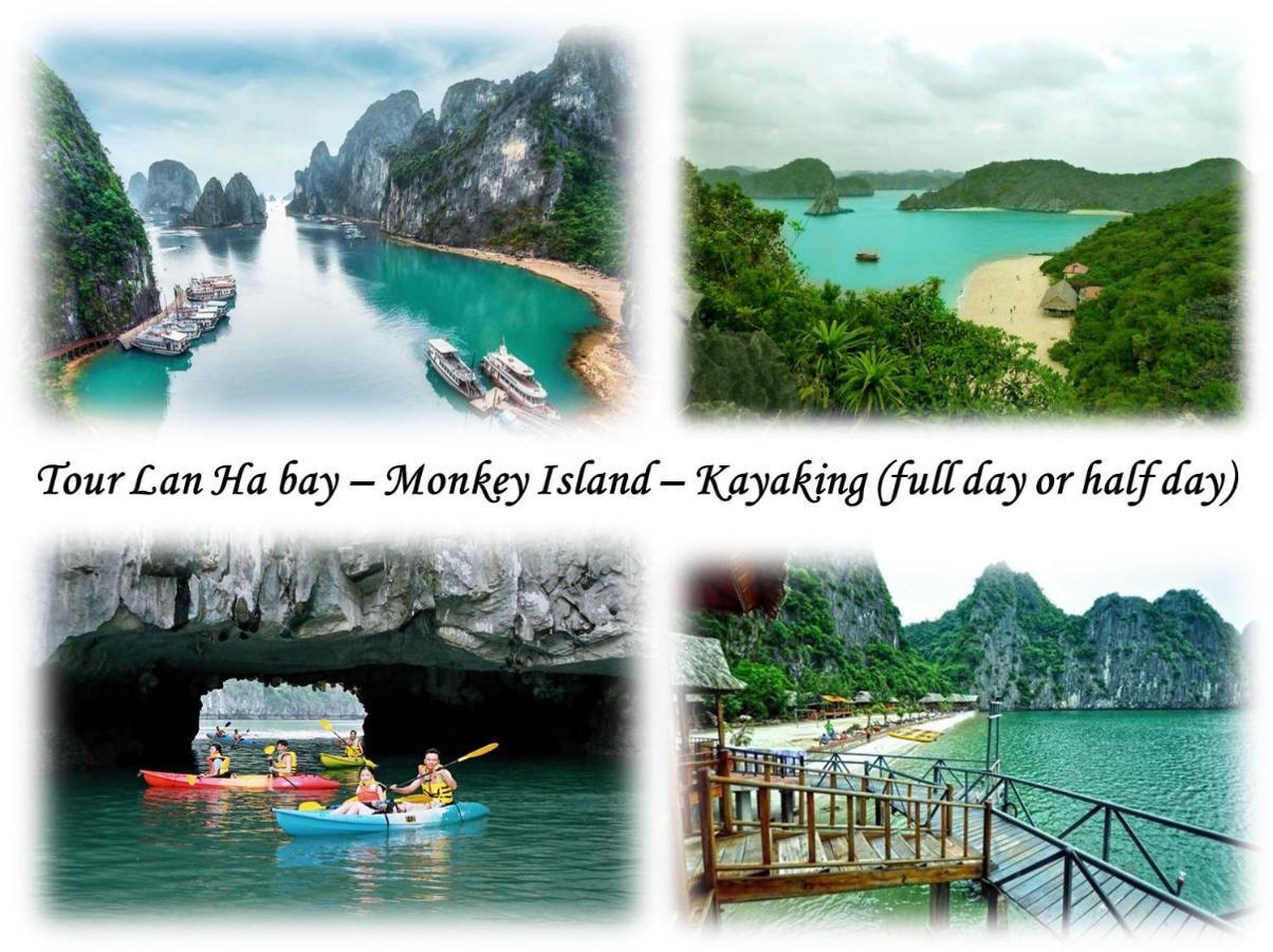 Domik Homestay - Cat Ba Dong Khe Sau エクステリア 写真